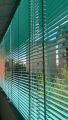 Veneziane da 50 mm Colore Verde Arcadia codice 111*