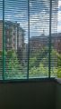 Veneziane da 50 mm Colore Verde Arcadia codice 111*