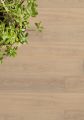 Rovere Liguria Vanilla (cod. 36004007)