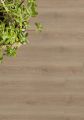Rovere Vermont Light Beige (cod. 36004000)