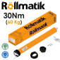 24106-Motore per tende da sole 30 Nm - 60Kg (Rollmatik)