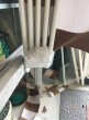 Staffe posizionate vicino alla struttura
