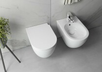 Scheda Sanitari Sospesi Rimless Bianco Lucido Wc + Bidet + Coprivaso Sapho Isvea mod. Infinity